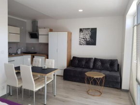 Apartament Kapitana typu studio